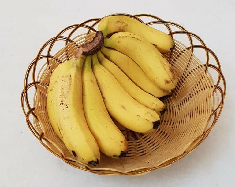 Utilise les peaux de bananes au quotidien pour prendre soin de toi et de tes plantes.