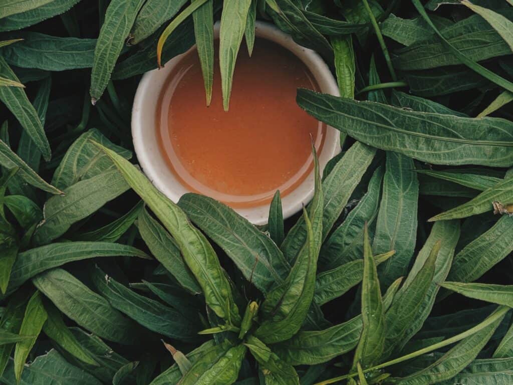 L'huile essentielle de Tea Tree pour prendre soin de ta santé au quotidien